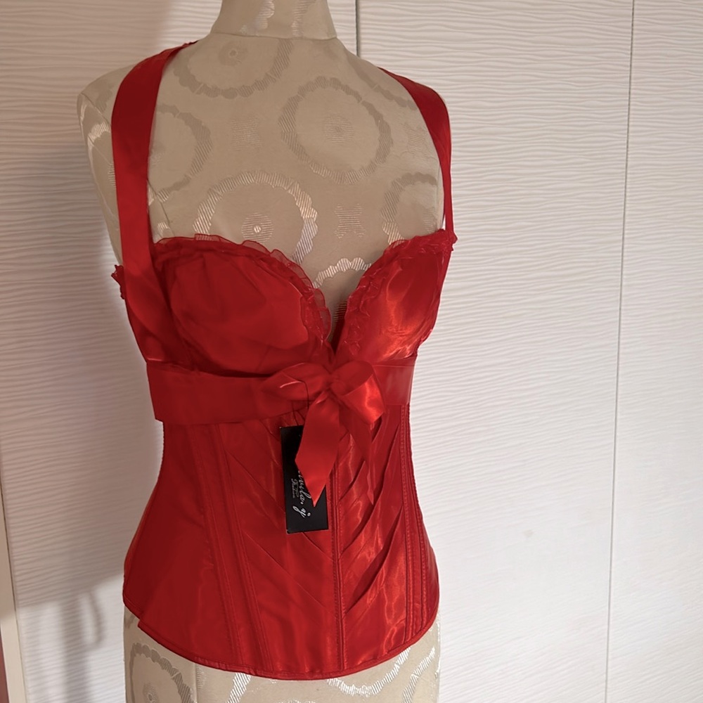 NWT Gorgeous corset lingerie, Sz L